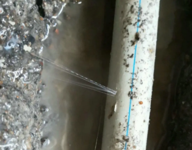 施秉测漏水哪家好