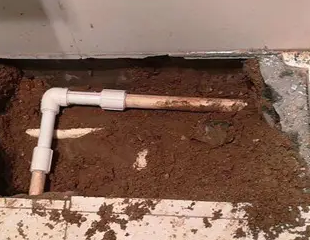 施秉测漏水哪家好