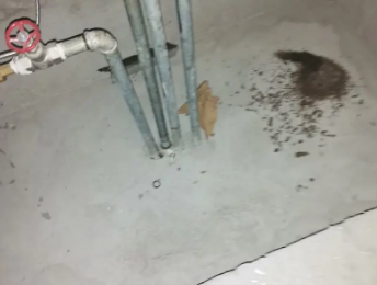 施秉卫生间测漏水价格明细