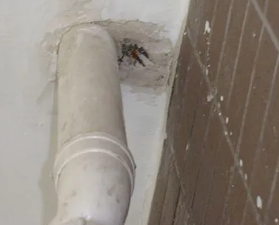 施秉漏水检测哪家好